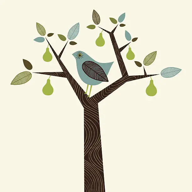 Vector illustration of Partridge in a Pear Tree