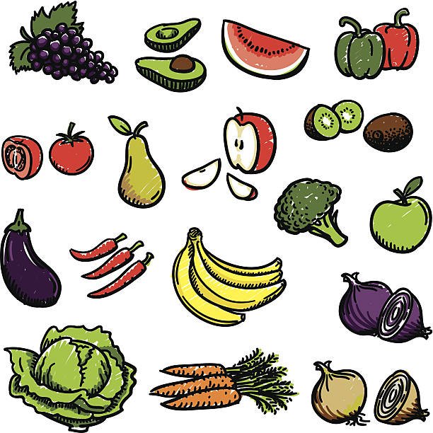 과일 및 야채 - eggplant tomato white background fruit stock illustrations