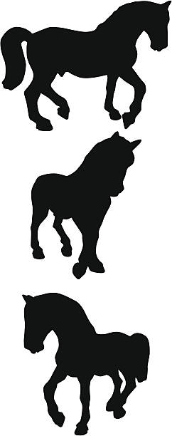 horse horse icon pony stock illustrations