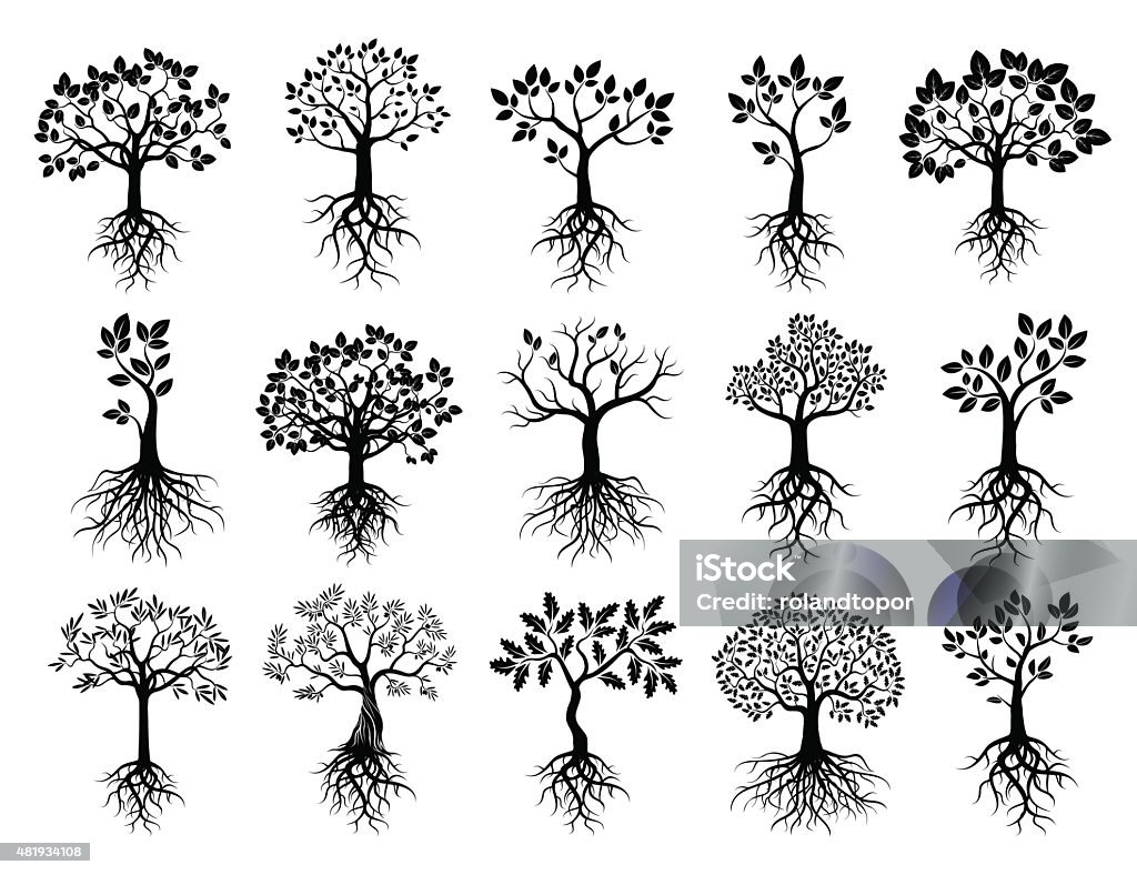 Set of Black Trees and Roots Set of Black Trees and Roots. Vector Illustration. Tree stock vector