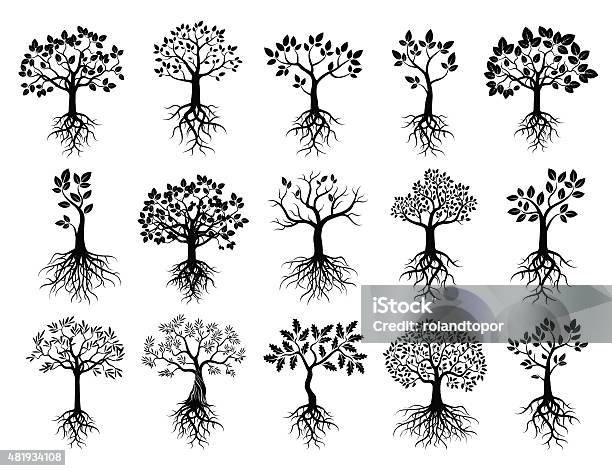 Set Of Black Trees And Roots Stock Illustration - Download Image Now - Tree, Root, Origins