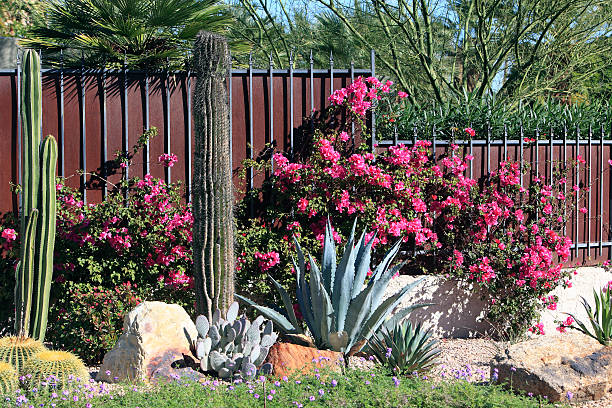 istock Save Water And Still Have A Gorgeous Garden 481934268