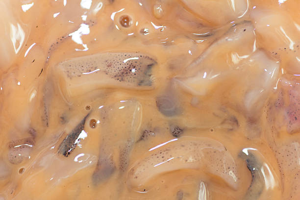 istock Salted squid guts also known as ika no shiokara 481934664
