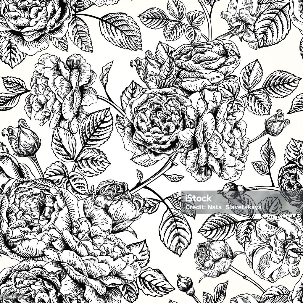 Seamless pattern with roses. Vector seamless vintage pattern with English roses. Black and white illustration. Black Color stock vector