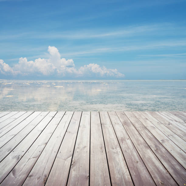 istock Wooden platform on beach with seascape and cloudy sky 481935484