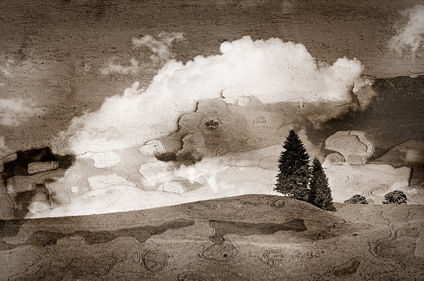 Meadow landscape. Photo in vintage image style