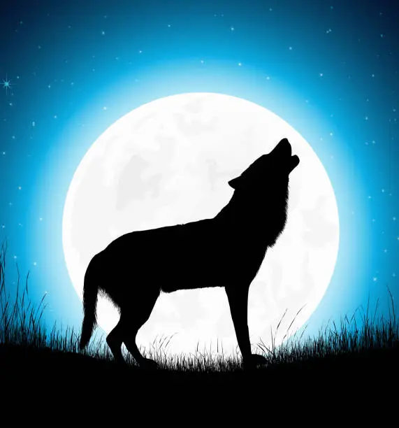 Vector illustration of Wolf Howling