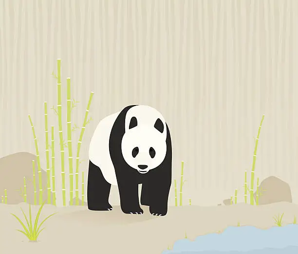 Vector illustration of Panda in nature