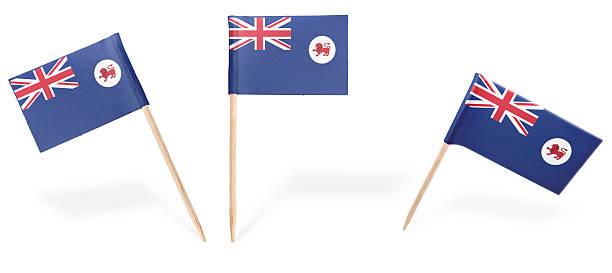 istock Various cocktail flags of Tasmania isolated on white.(series) 481939130