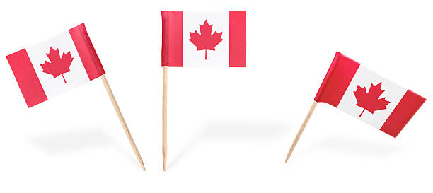 istock Various cocktail flags of Canada isolated on white.(series) 481939150