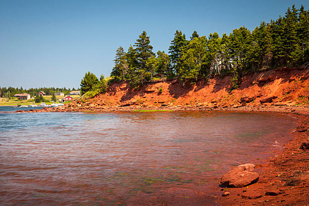 Coastline of Prince Edward Island Red cliffs of Prince Edward Island Atlantic coast near Cavendish, PEI, Canada. cavendish beach stock pictures, royalty-free photos & images
