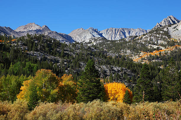 istock Magnificent  autumn in California 481940822