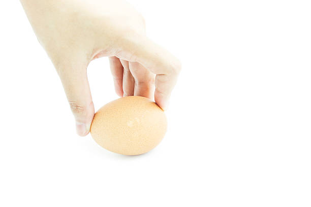 istock Give Fresh egg from organic farm with hand 481944908
