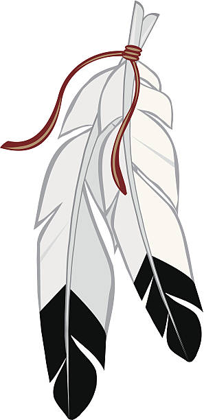 Eagle Feathers Two eagle feathers tied together. feather vector illustration stock illustrations
