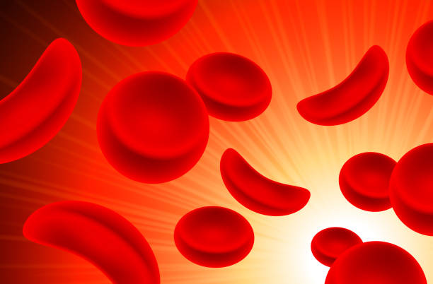 Sickle cell Red cells in Blood Stream Sickle cell Red cells in Blood Stream human blood stock illustrations