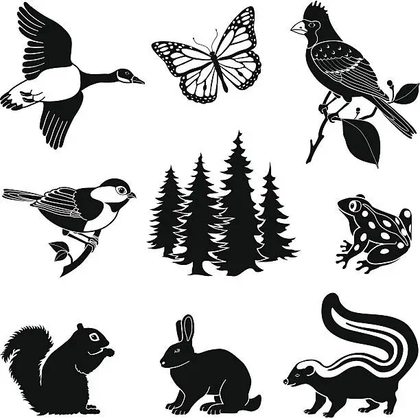 Vector illustration of woodland animals