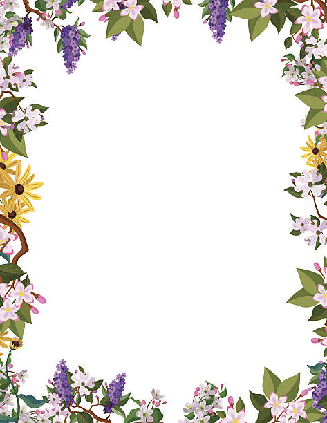 flower border frame A vector frame featuring North American flowers: lilac, black eyed susan, mayflowers, mountain laurel and dogwood. flowerbed stock illustrations