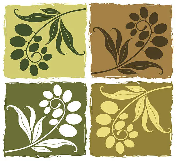 Vector illustration of Olive Branches  Set