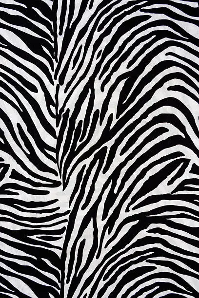 Photo of Texture fabric of Zebra for background