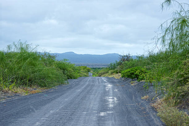 galápagosecuador.kgm-ilha isabela - dirtroad imagens e fotografias de stock