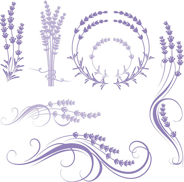 ilustraciones, imágenes clip art, dibujos animados e iconos de stock de lavanda - lilac bush nature flower bed
