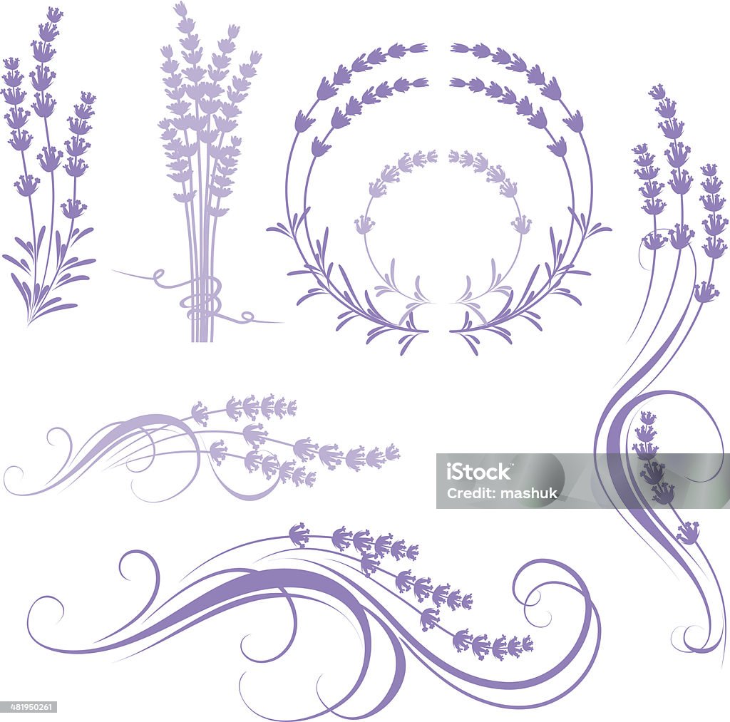 Z lawendowym korkiem - Grafika wektorowa royalty-free (Lawenda - roślina)