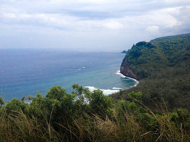 istock Day Hike at Pololu 481951930