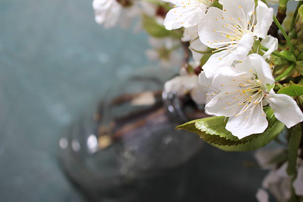 istock Branch of flowers in jar 481952148