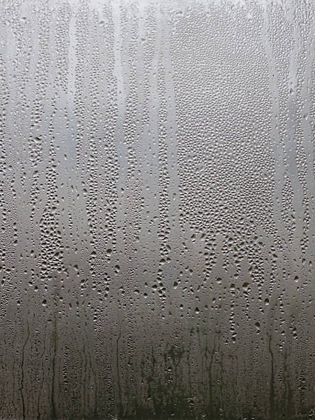 istock Mist on a window in a cold morning of winter 481952200