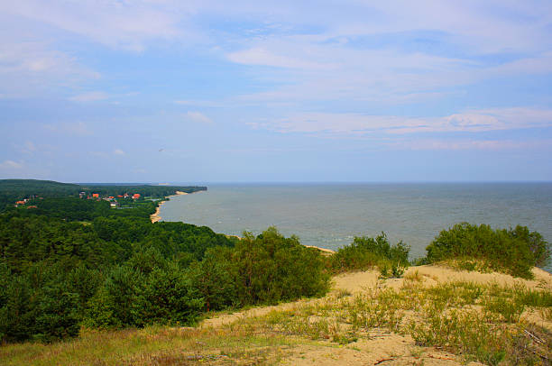 istock the dunes on the Baltic sea background 481952510
