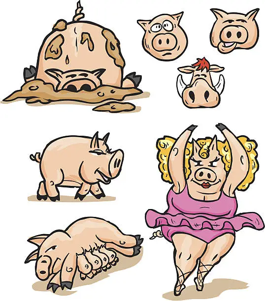 Vector illustration of Pigs, Pigs, Pigs