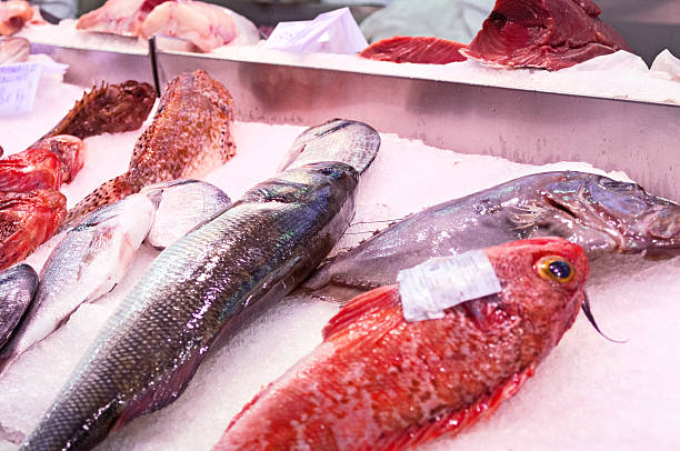 istock Fresh fish on ice at the market 481953178