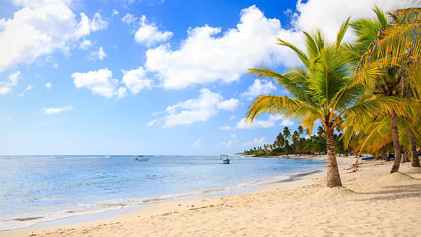 istock Caribbean beach in Dominican Republic 481953748