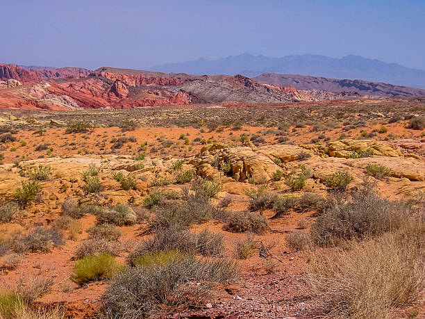 istock Valley of Fire Nevada 481956468