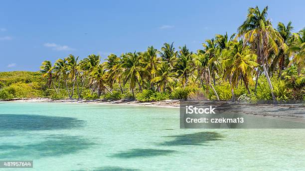 Tropical Paradise Stock Photo - Download Image Now - Contoy Island, Island, Beach