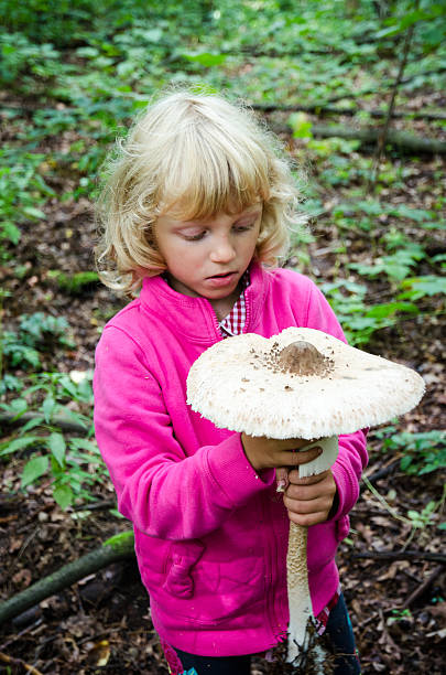 istock giant parasol mushroom 481957870