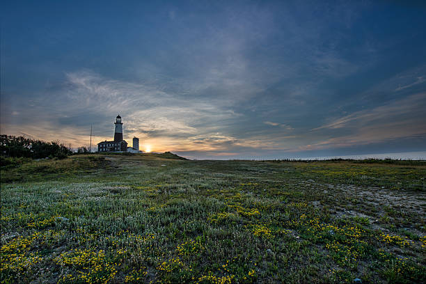 Montauk Lighthouse Flowerfields stock photo