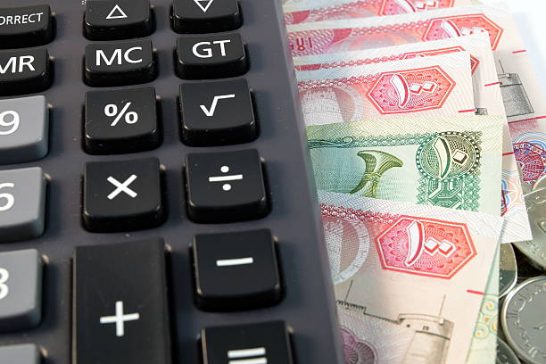 istock Close up of  Various currency notes and coins from UAE 481957988