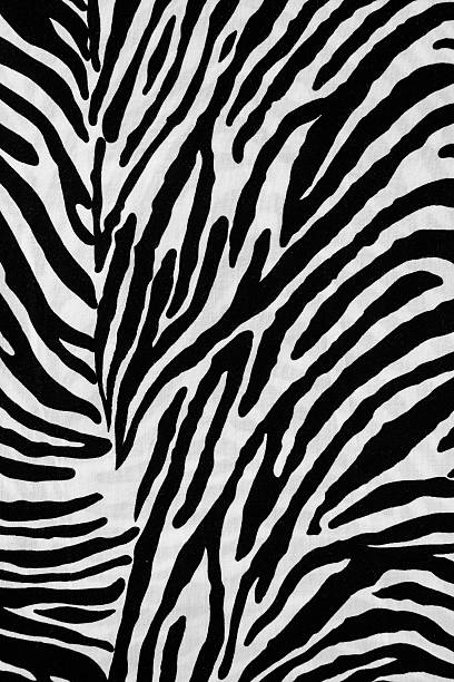 istock Texture fabric of Zebra for background 481958378