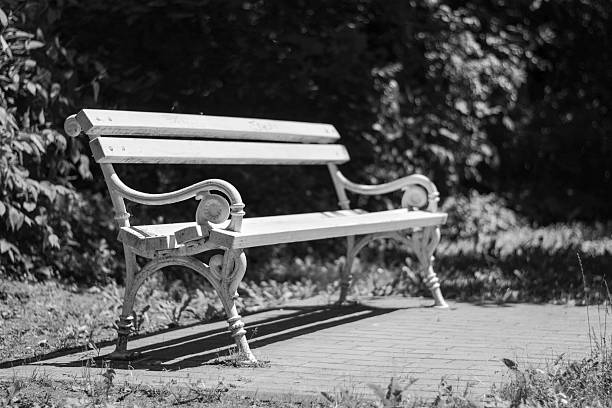 istock Iron park bench near lake 481958406