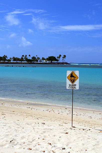 istock Waikiki Beach, Honolulu, Oahu, Hawaii 481959100