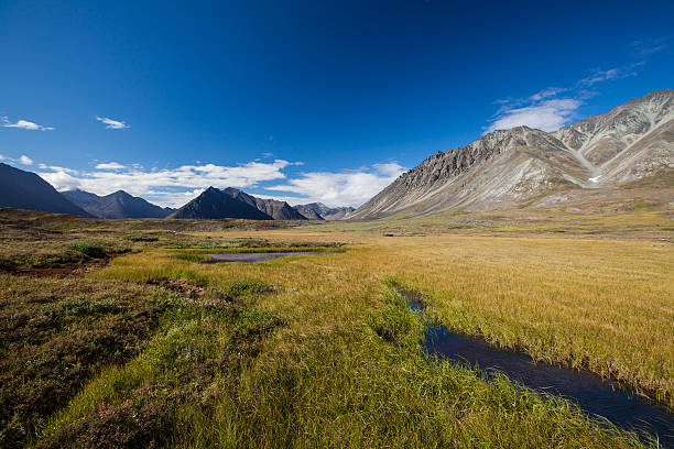 mountain valley con los glaciares - brooks range fotografías e imágenes de stock