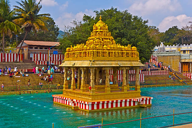 waterpond in der nähe von balaji-tempel - hinduism outdoors horizontal close up stock-fotos und bilder