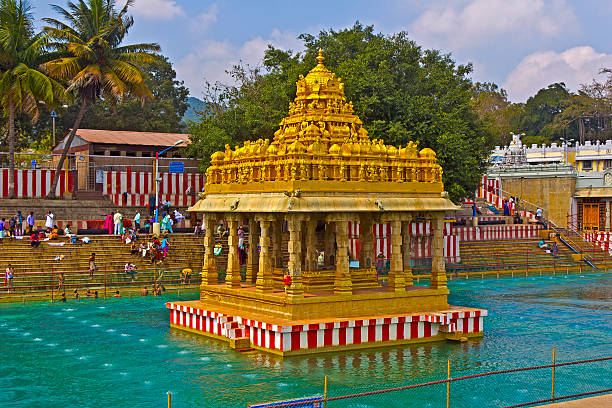 waterpond バラジ寺院の近くに - hinduism outdoors horizontal close up ストックフォトと画像