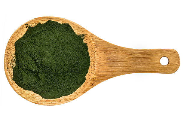 istock Organic spirulina powder 481963544