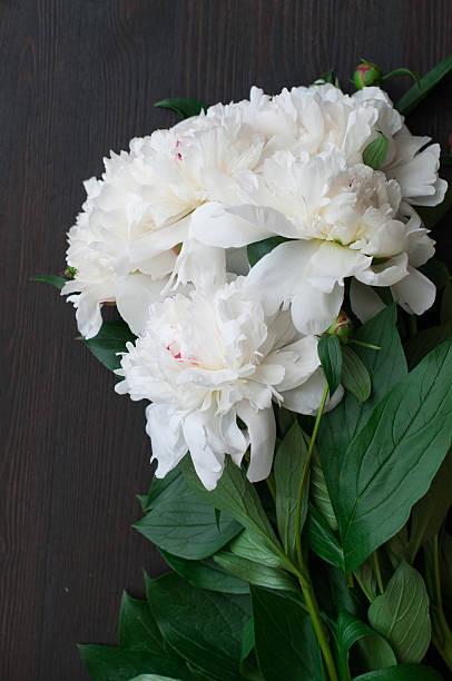 istock Stunning white peonies on rustic wooden background 481963564