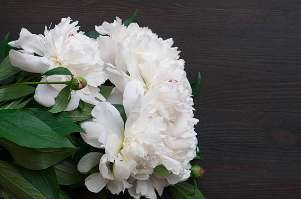 istock Stunning white peonies on rustic wooden background 481963622