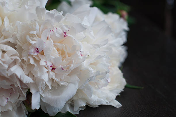 istock Stunning white peonies on rustic wooden background 481963720