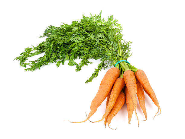 istock Bunch of carrots with leaves 481963944