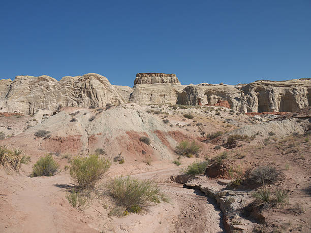 istock Arizona desert with dry riverbed 481964378